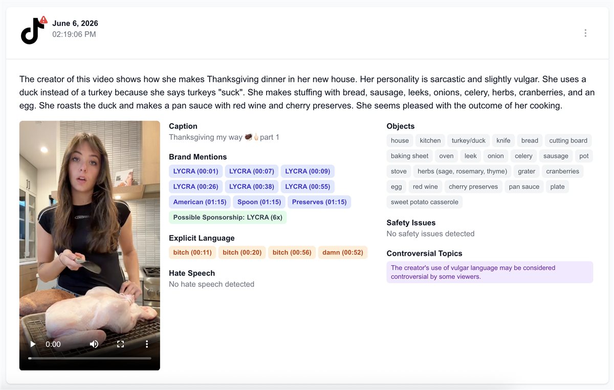 CreatorView AI brand safety vetting tool showing risk flags and explicit content timestamps